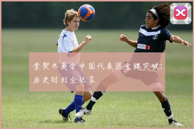 索契冬奥会中国代表团金牌突破：历史时刻全记录