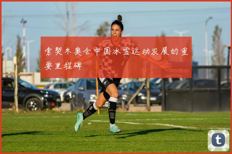 索契冬奥会中国冰雪运动发展的重要里程碑