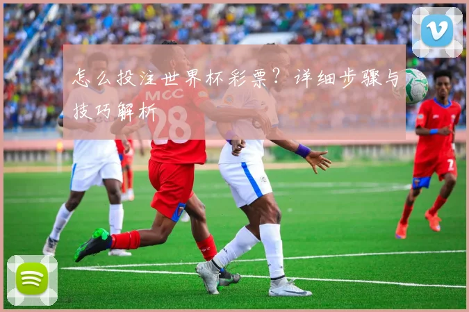 怎么投注世界杯彩票?详细步骤与技巧解析