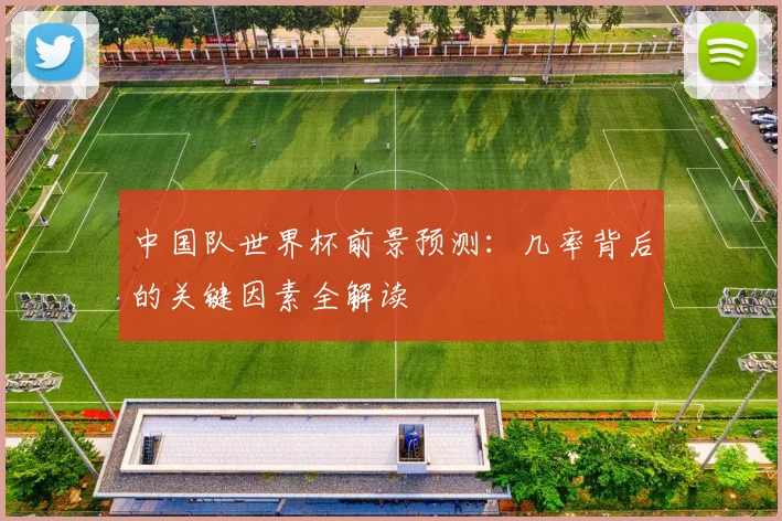 中国队世界杯前景预测：几率背后的关键因素全解读